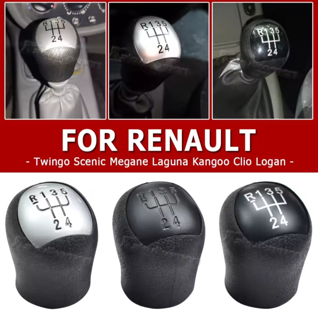 Pommeau Renault Twingo 5 vitesses